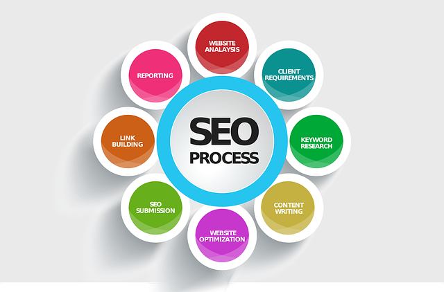 SEO správa zajistí efektivní výsledky